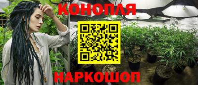 сатива Лесосибирск