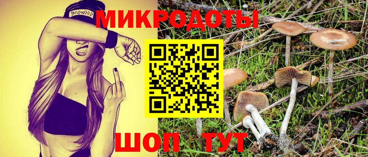 Анжеро-Судженск  Псилоцибиновые грибы GOLDEN TEACHER  Вход с VPN  Галлюциногенные грибы мухоморы 