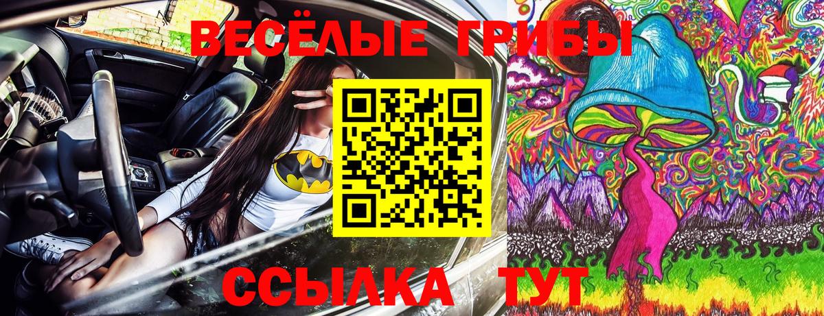Галлюциногенные грибы Psilocybine cubensis Анжеро-Судженск